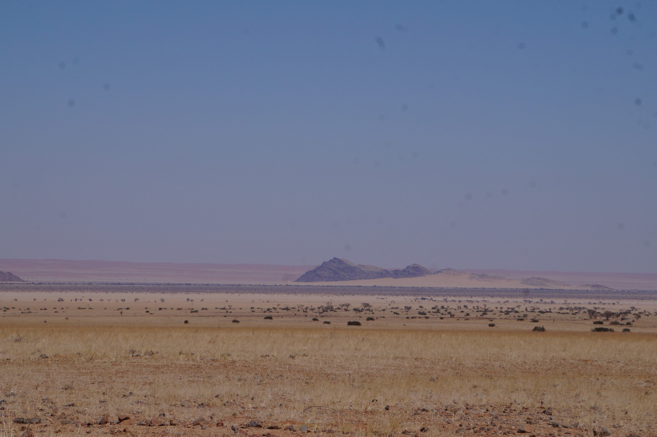 Click Image for next Picture