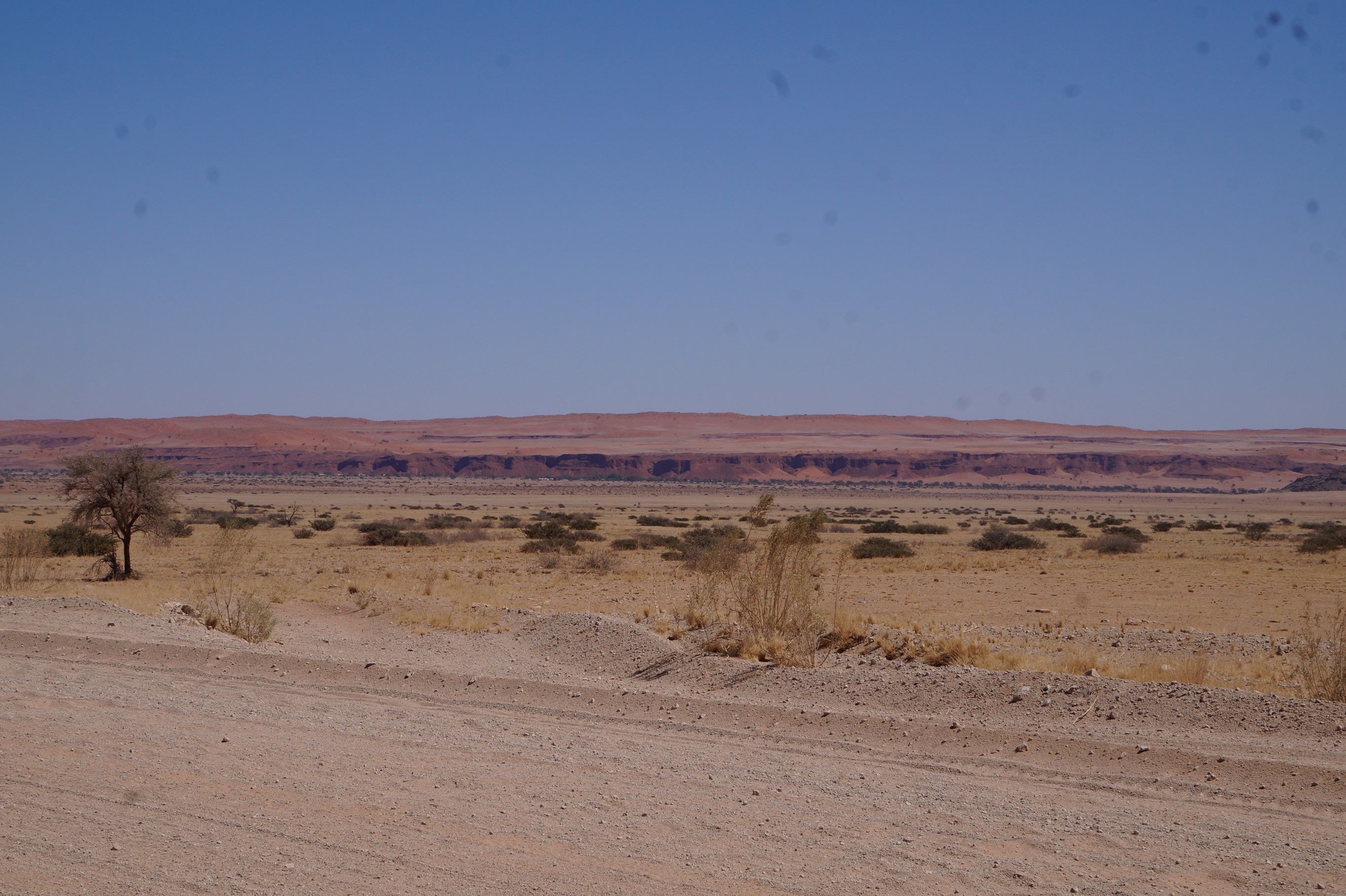 Click Image for next Picture