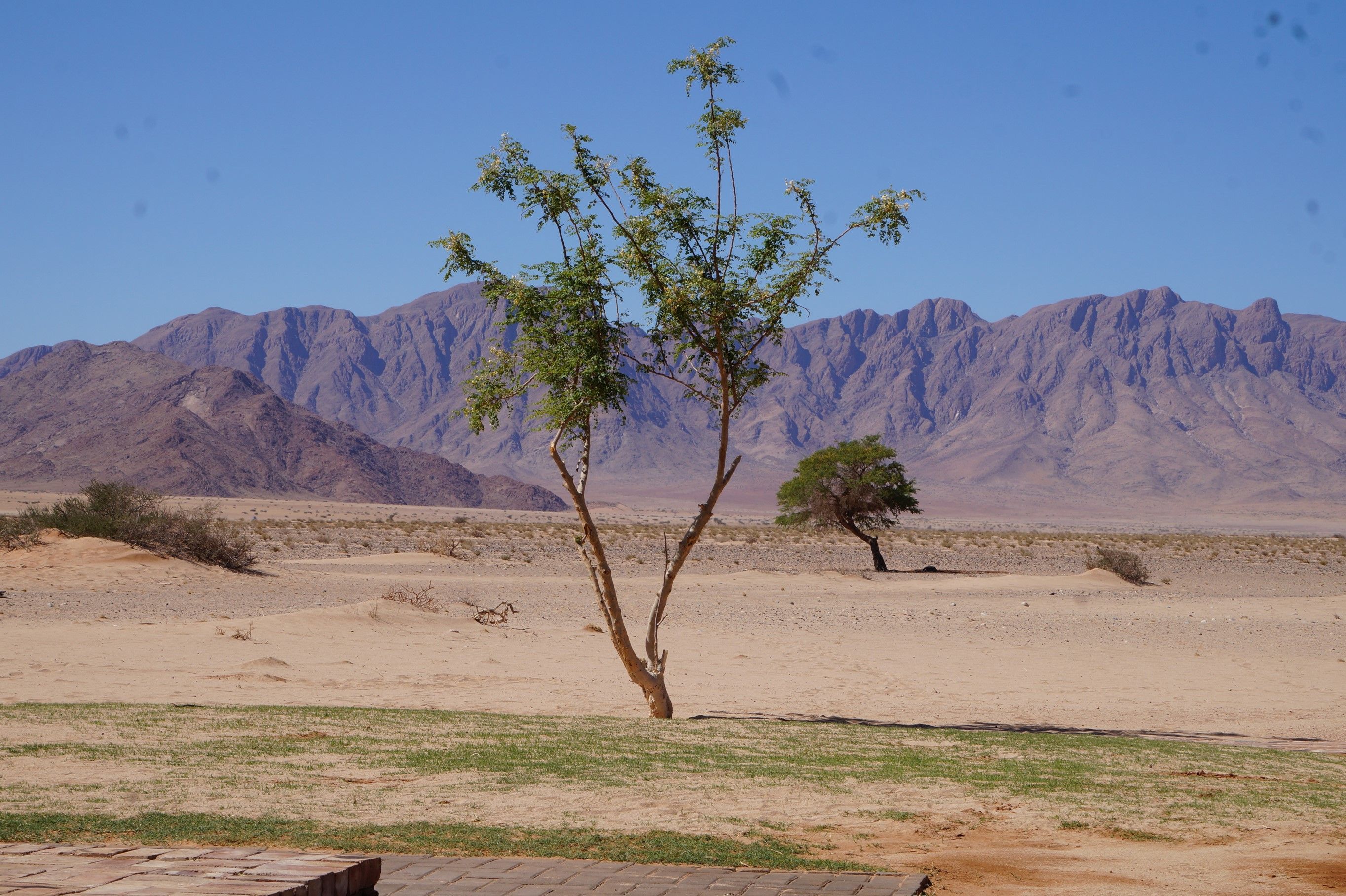 Click Image for next Picture