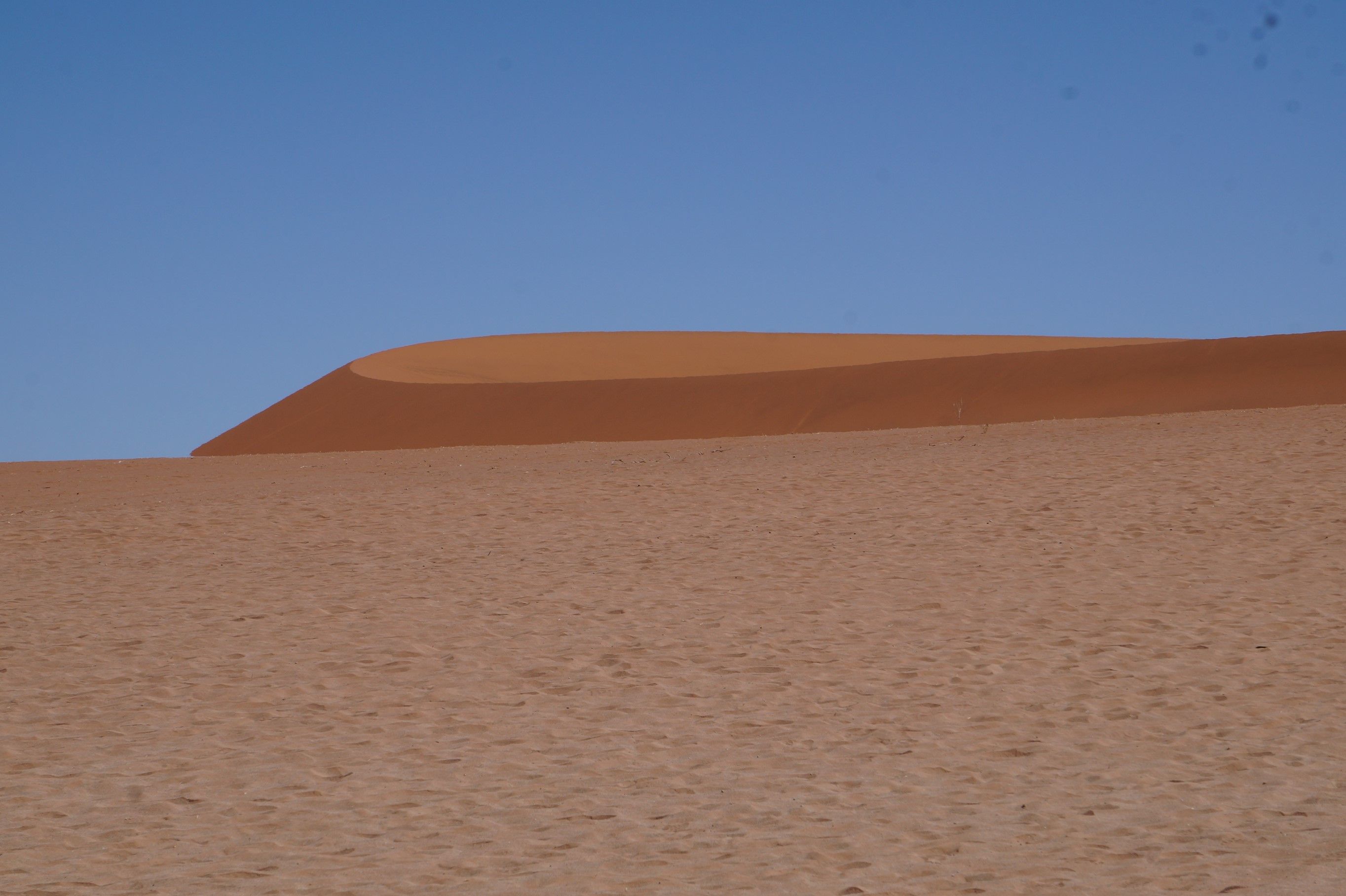 Click Image for next Picture