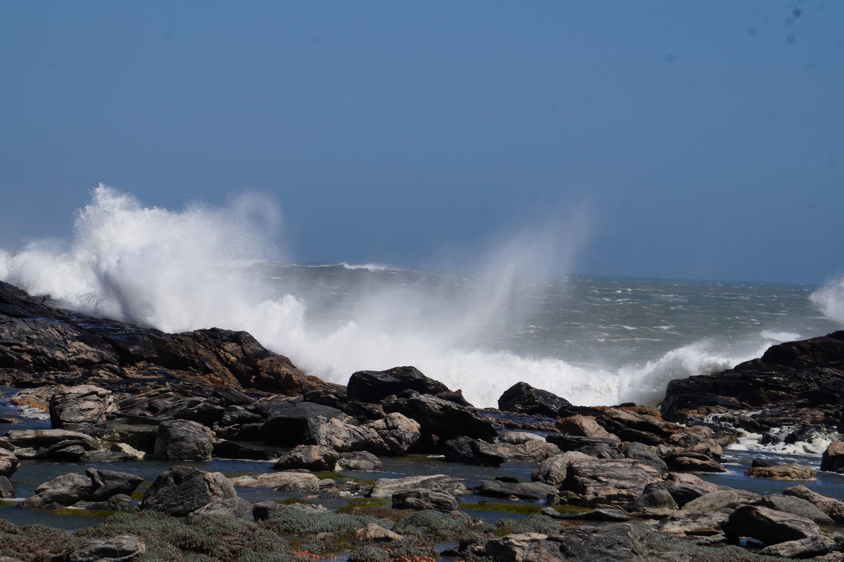 Click Image for next Picture